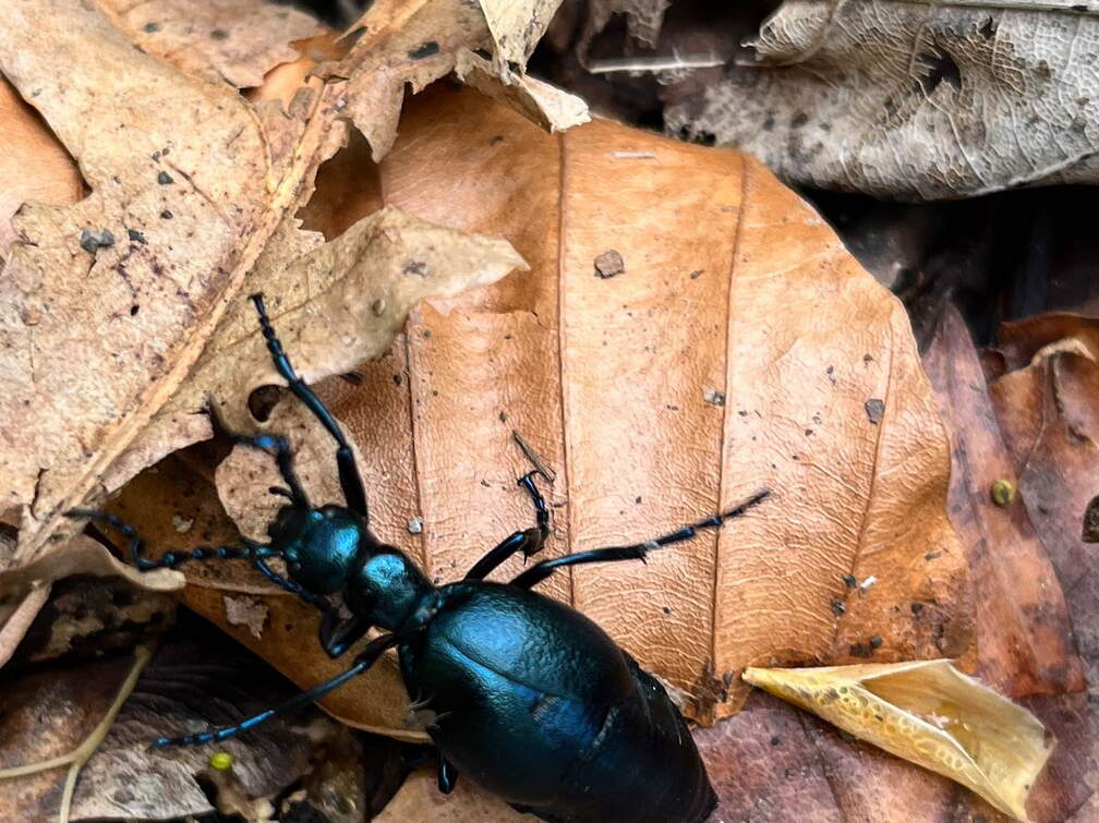 22-04-25 11-34-05 0620